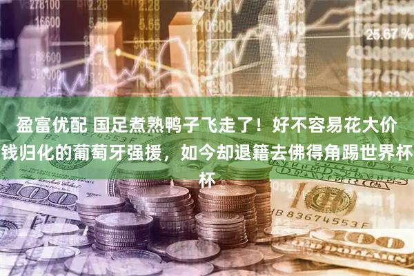 盈富优配 国足煮熟鸭子飞走了！好不容易花大价钱归化的葡萄牙强援，如今却退籍去佛得角踢世界杯