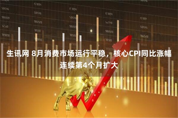 生讯网 8月消费市场运行平稳，核心CPI同比涨幅连续第4个月扩大