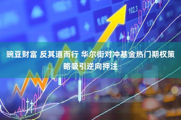 豌豆财富 反其道而行 华尔街对冲基金热门期权策略吸引逆向押注