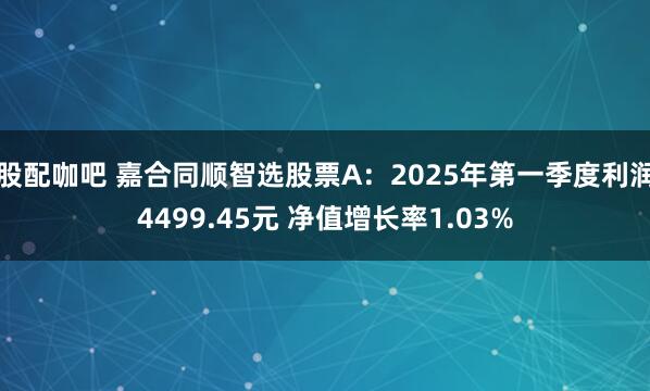 股配咖吧 嘉合同顺智选股票A：2025年第一季度利润4499.45元 净值增长率1.03%
