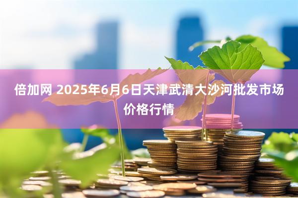 倍加网 2025年6月6日天津武清大沙河批发市场价格行情