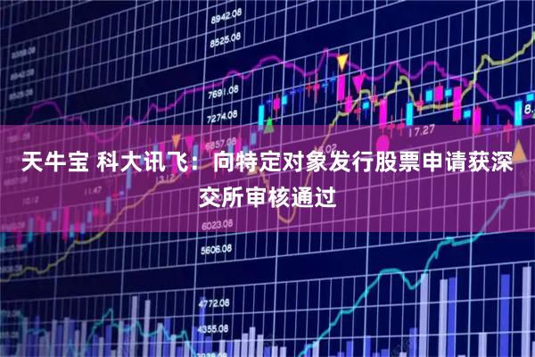 天牛宝 科大讯飞：向特定对象发行股票申请获深交所审核通过
