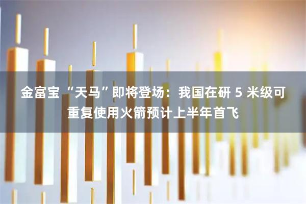 金富宝 “天马”即将登场：我国在研 5 米级可重复使用火箭预计上半年首飞