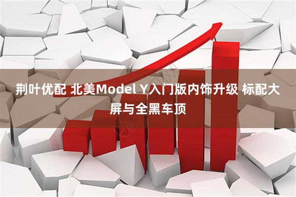荆叶优配 北美Model Y入门版内饰升级 标配大屏与全黑车顶